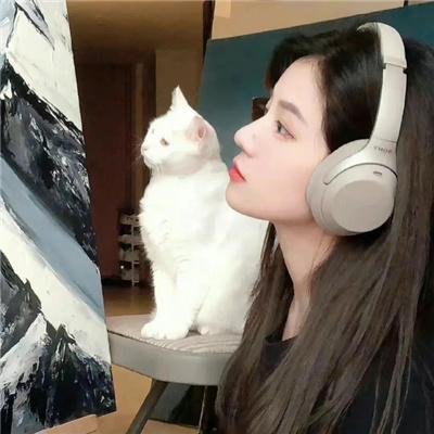 智力测试
